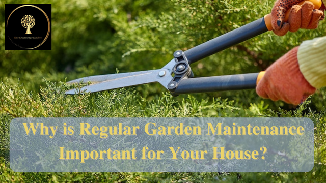 Why is Regular Garden Maintenance Important for Your House?